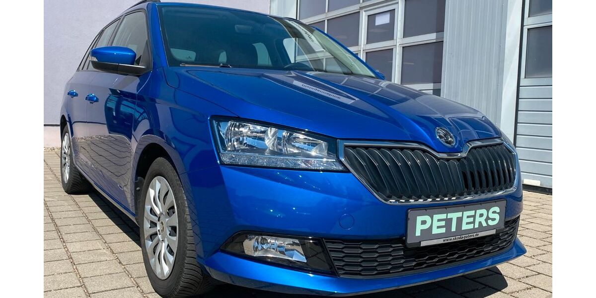 Skoda Fabia 39.550 km 17.880 &euro; Barth 18356