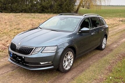 Skoda Octavia 171.000 km 14.000 &euro; Kandelin 18516