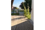 Doppelhaushälfte Steinhagen - 4 Zimmer, 100 m&sup2;, 219.000&euro; | Angebot:27273569