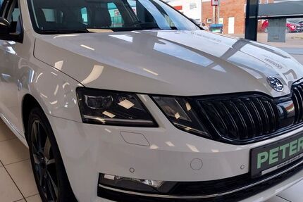 Skoda Octavia 79.850 km 18.720 &euro; Barth 18356