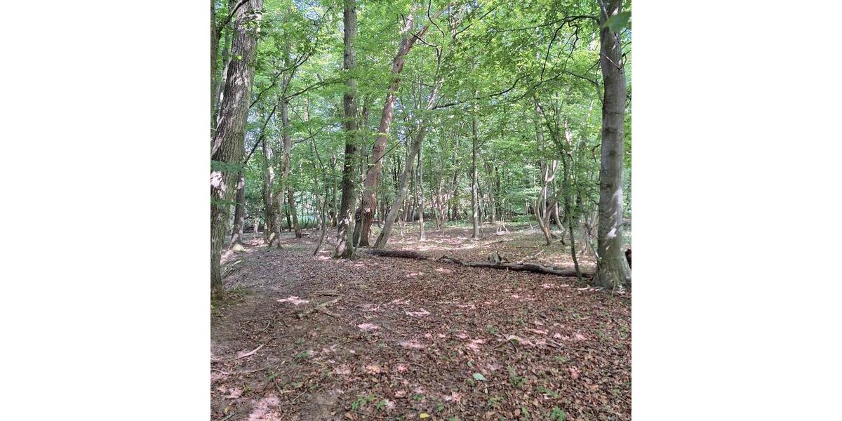 Doppelhaushälfte Putbus - 4 Zimmer, 90 m&sup2;, 320.000&euro; | Angebot:26447300