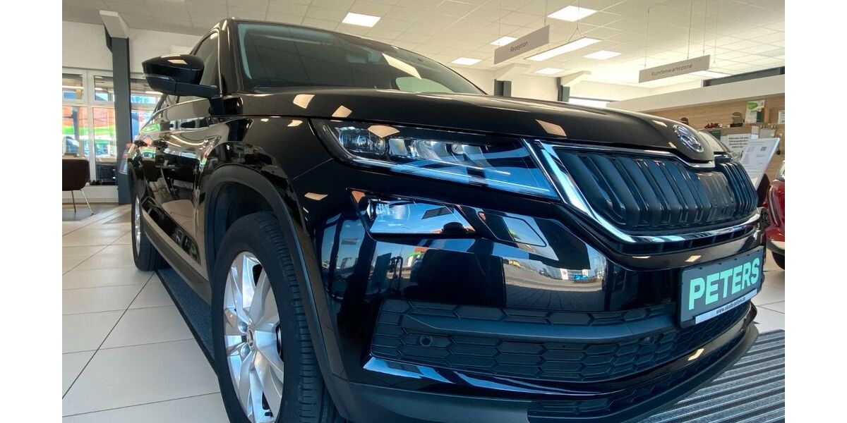 Skoda Kodiaq 92.540 km 20.770 &euro; Barth 18356
