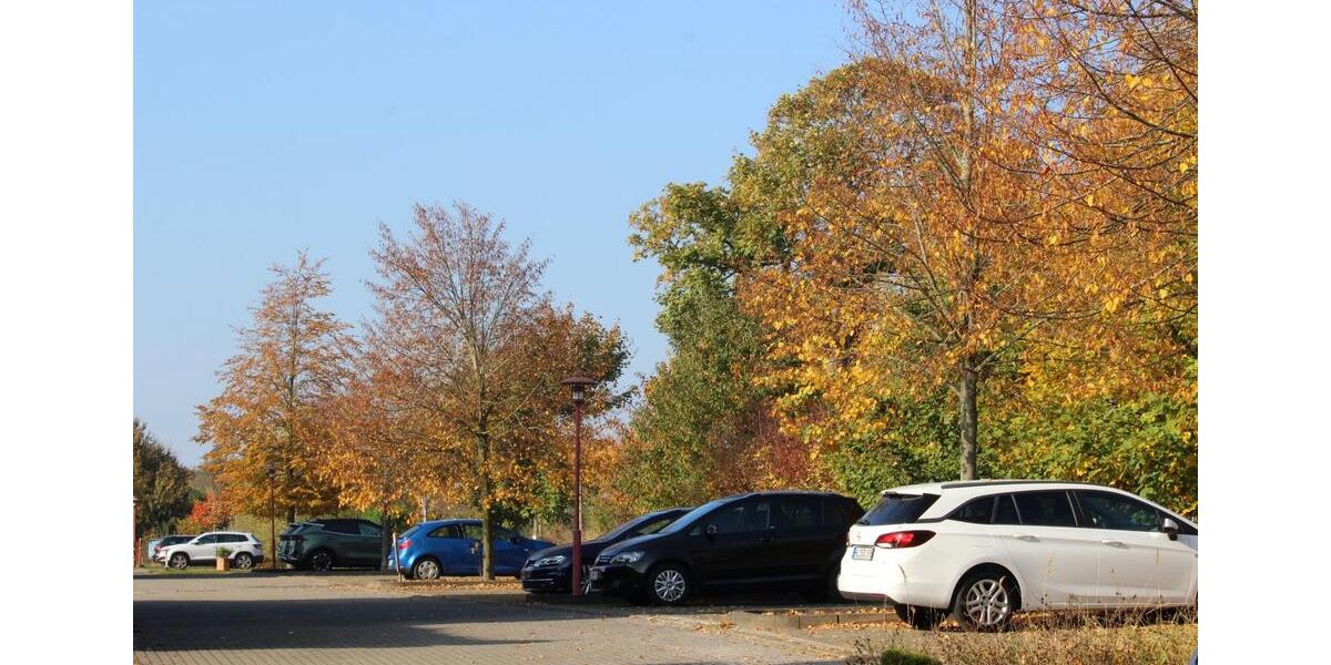 Etagenwohnung Stralsund - 3 Zimmer, 87 m&sup2;, 1.050&euro; | Angebot:25901351