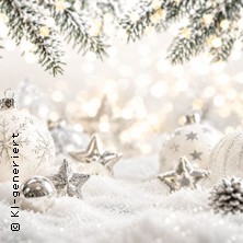 Weihnachtskonzert im Schloss Hohendorf - Weihnachts-Überraschungskonzert 19.12.2026 Schloss Hohendorf