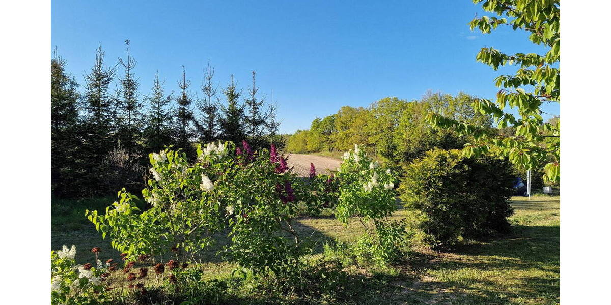 Einfamilienhaus Garz auf Rügen Kniepow - 7 Zimmer, 220 m&sup2;, 595.000&euro; | Angebot:26290544