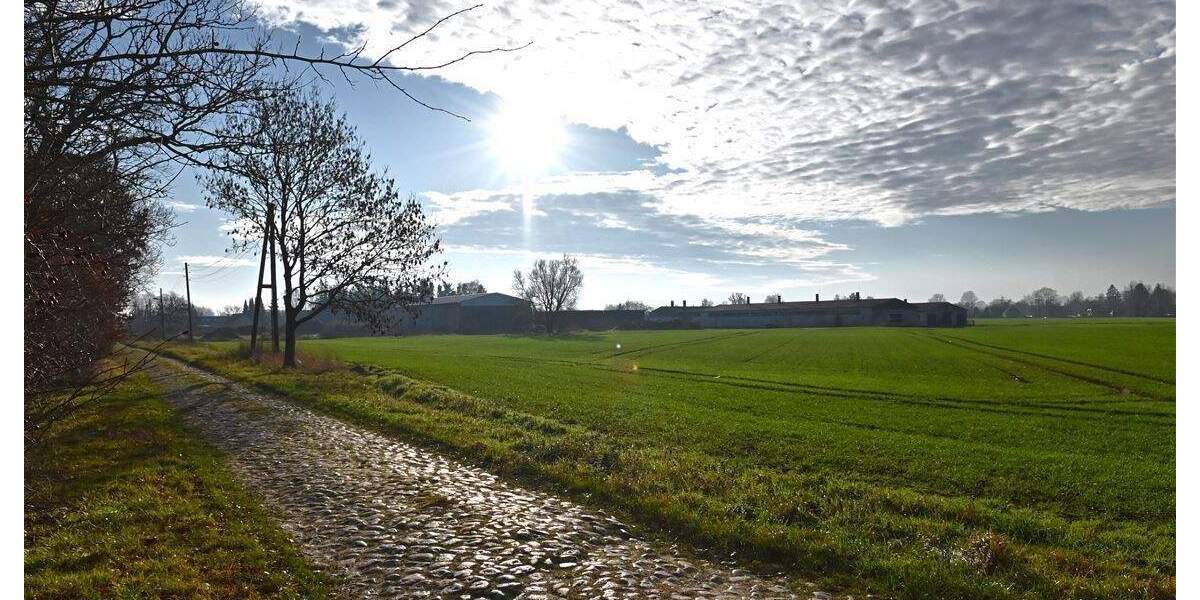 Einfamilienhaus Sundhagen Groß Behnkenhagen - 3 Zimmer, 74 m&sup2;, 145.000&euro; | Angebot:25728884