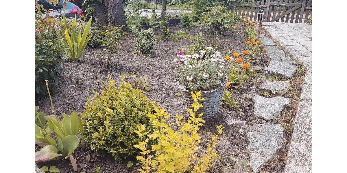Bungalow Neuenkirchen - 2.5 Zimmer, 70 m&sup2;, 750&euro; | Angebot:26448114