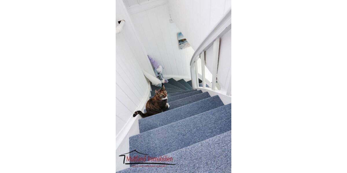 Doppelhaushälfte Stralsund Tribseer Siedlung - 239.000&euro; | Angebot:25731471