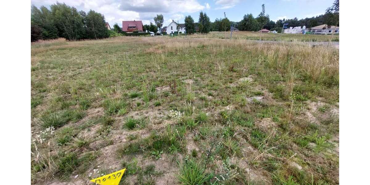 Grundstück Bergen OT Tilzow Tilzow - 117.500&euro; | Angebot:25436181