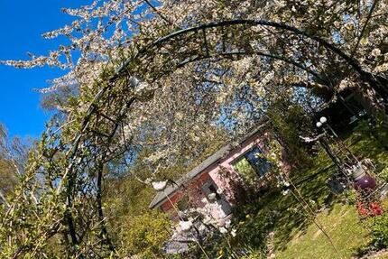 Haus Stralsund - 2 Zimmer, 30 m&sup2; | Angebot:26431391