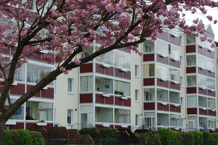 Wohnung Grimmen - 2.5 Zimmer, 63 m&sup2;, 459&euro; | Angebot:23870359