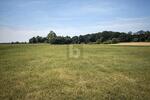 GROßZÜGIGE GRÜNLANDFLÄCHE - Grundstück Dreschvitz | Angebot:25970944