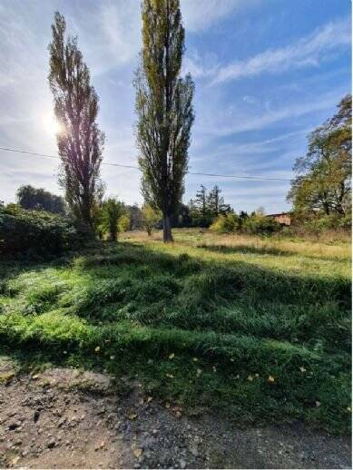 Einfamilienhaus Sundhagen Bremerhagen - 4 Zimmer, 121 m&sup2;, 321.400&euro; | Angebot:25676952