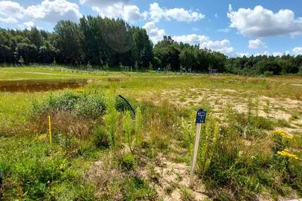 Grundstück Bergen OT Tilzow Tilzow - 117.700&euro; | Angebot:23832913