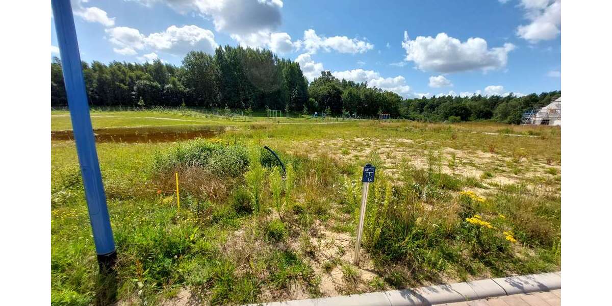 Grundstück Bergen OT Tilzow Tilzow - 117.700&euro; | Angebot:23832913