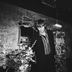 Ansa Sauermann - Neues Programm 2026