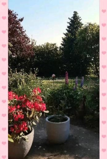 Erdgeschoßwohnung Neuenkirchen - 2 Zimmer, 55 m&sup2;, 680&euro; | Angebot:25648947