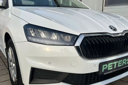 Skoda Fabia 30.350 km 18.710 &euro; Barth 18356