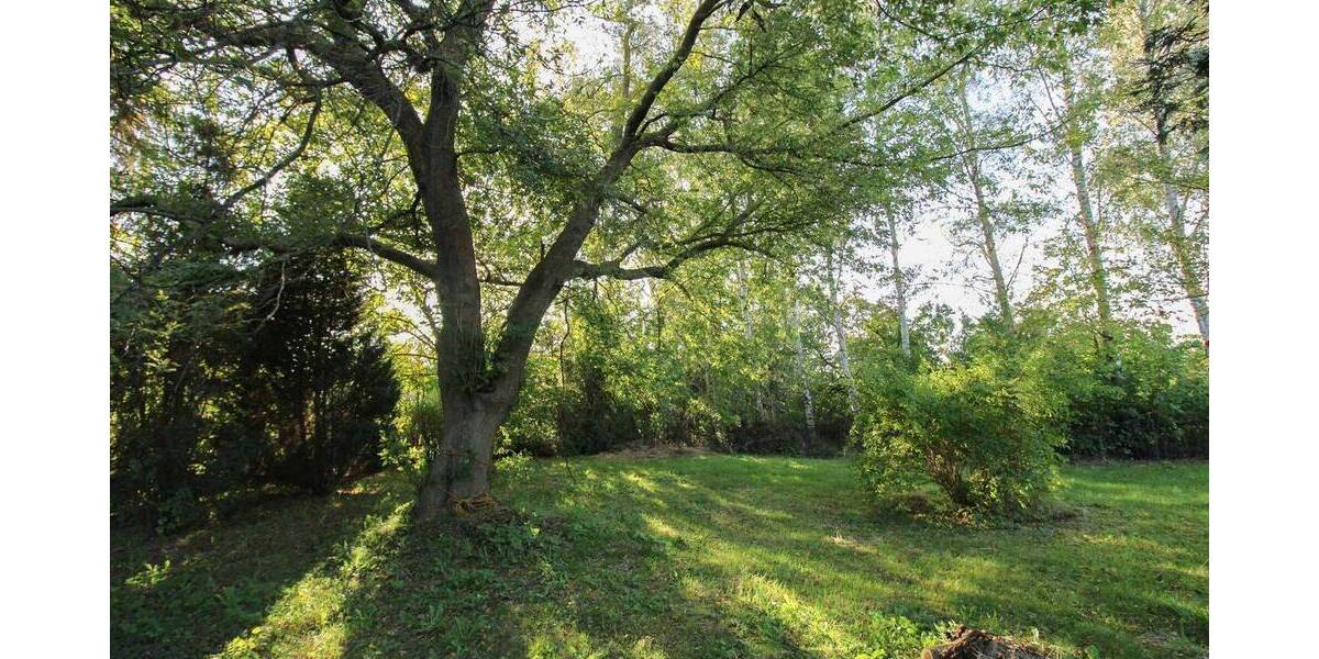 Grundstück Velgast Bussin - 59.900&euro; | Angebot:26028348