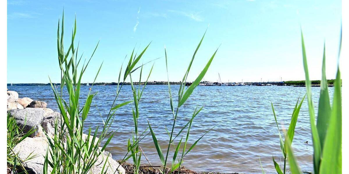 Mehrfamilienhaus, Wohnhaus Gustow - 2 Zimmer, 27 m&sup2;, 99.000&euro; | Angebot:25663899