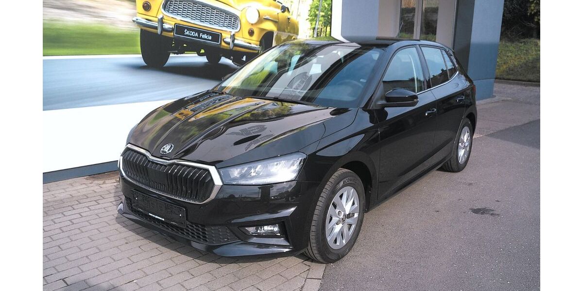 Skoda Fabia 86.700 km 15.300 &euro; Grimmen 18507