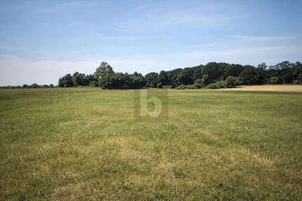 Grundstück Dreschvitz - 62.000&euro; | Angebot:26006671