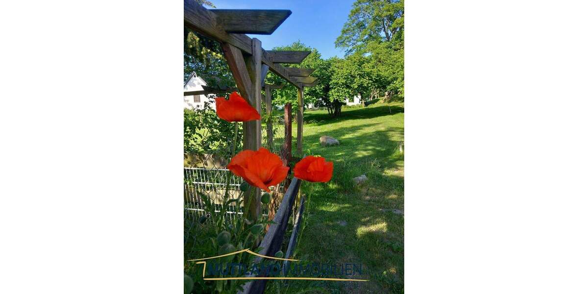 Mehrfamilienhaus, Wohnhaus Neuenkirchen - 9 Zimmer, 430 m&sup2;, 1.156.000&euro; | Angebot:25666287