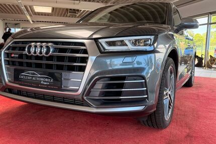 Audi SQ5 49.999 km 38.999 &euro; Sehlen 18528