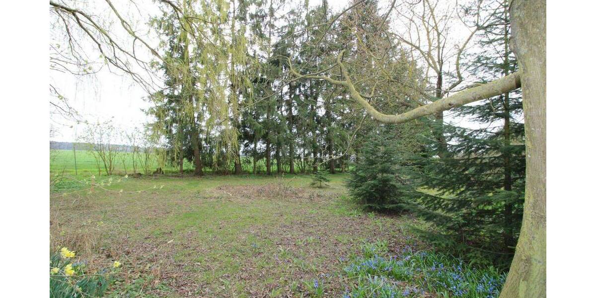 Einfamilienhaus Wittenhagen Kakernehl - 3 Zimmer, 99.000&euro; | Angebot:26799469