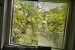 Einfamilienhaus Stralsund - 2 Zimmer, 30 m&sup2; | Angebot:26431391