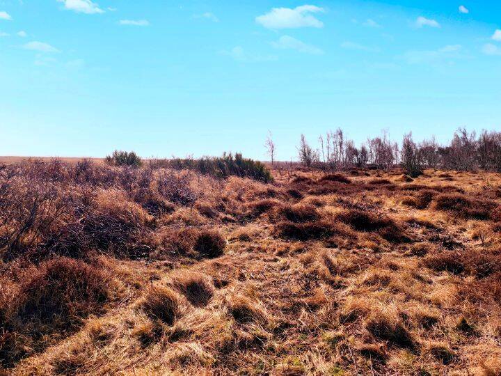 Grundstück Vitte Vitte, Hiddensee - 19.000&euro; | Angebot:26094368