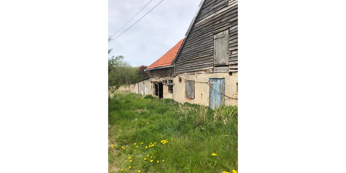 Doppelhaushälfte Grimmen - 53.600&euro; | Angebot:23332936