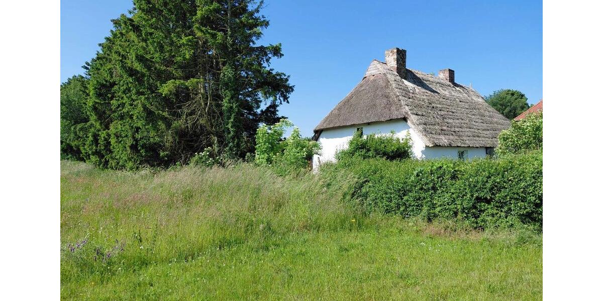 Bauernhaus, Landhaus Wittenhagen - 5 Zimmer, 100 m&sup2;, 179.500&euro; | Angebot:26070730