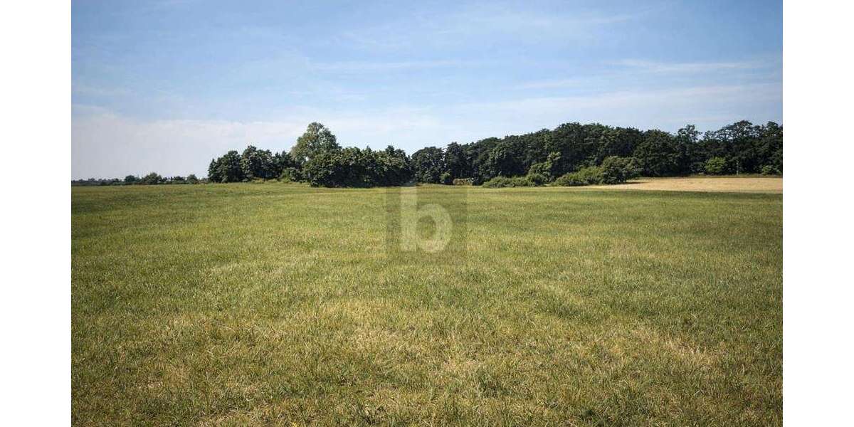 Grundstück Dreschvitz - 62.000&euro; | Angebot:27319081