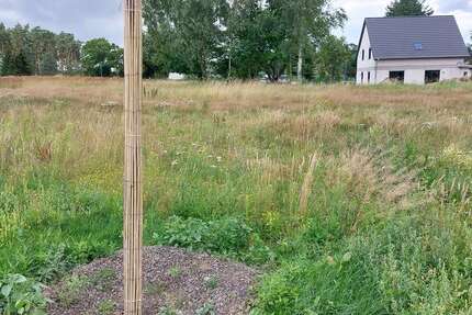 Grundstück Bergen OT Tilzow Tilzow - 132.900&euro; | Angebot:23832915