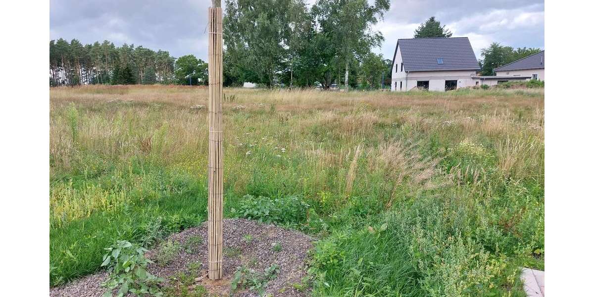 Grundstück Bergen OT Tilzow Tilzow - 132.900&euro; | Angebot:23832915