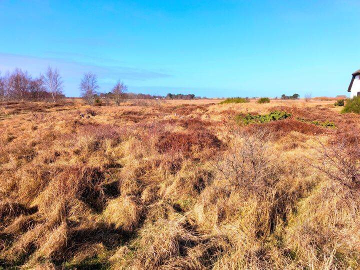 Grundstück Vitte Vitte, Hiddensee - 19.000&euro; | Angebot:26094368