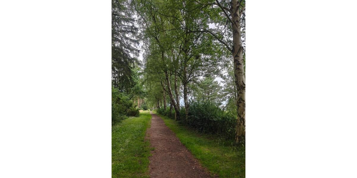 Bungalow Sundhagen - 2 Zimmer, 40 m&sup2;, 92.000&euro; | Angebot:23087600