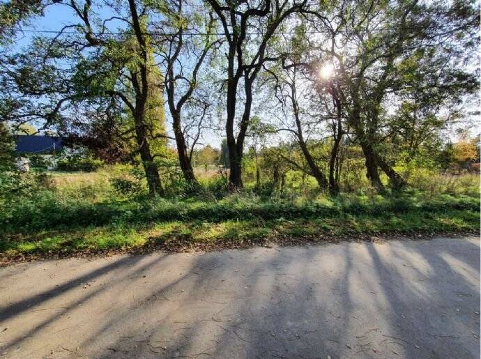 Einfamilienhaus Sundhagen Bremerhagen - 4 Zimmer, 121 m&sup2;, 321.400&euro; | Angebot:25676952