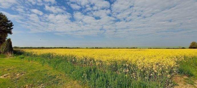 Grundstück Niepars Duvendiek - 76.718&euro; | Angebot:25815220