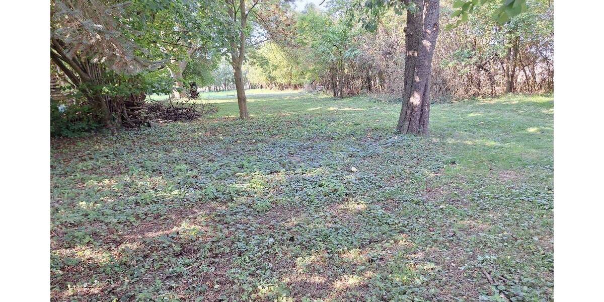 Einfamilienhaus Süderholz-Neuendorf Neuendorf - 4 Zimmer, 79 m&sup2;, 198.000&euro; | Angebot:25727432