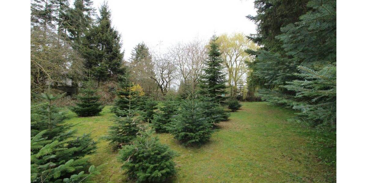 Einfamilienhaus Wittenhagen Kakernehl - 3 Zimmer, 99.000&euro; | Angebot:26799469