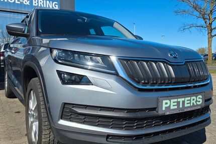 Skoda Kodiaq 70.255 km 24.660 &euro; Barth 18356