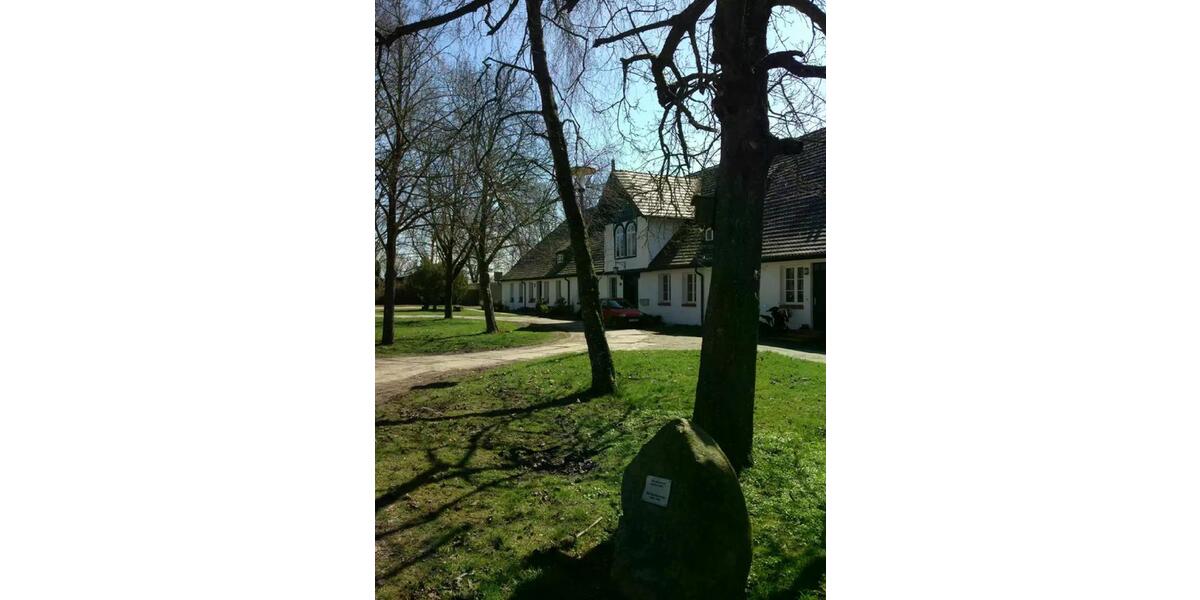 Erdgeschoßwohnung Löbnitz - 2 Zimmer, 36 m&sup2;, 250&euro; | Angebot:25717398