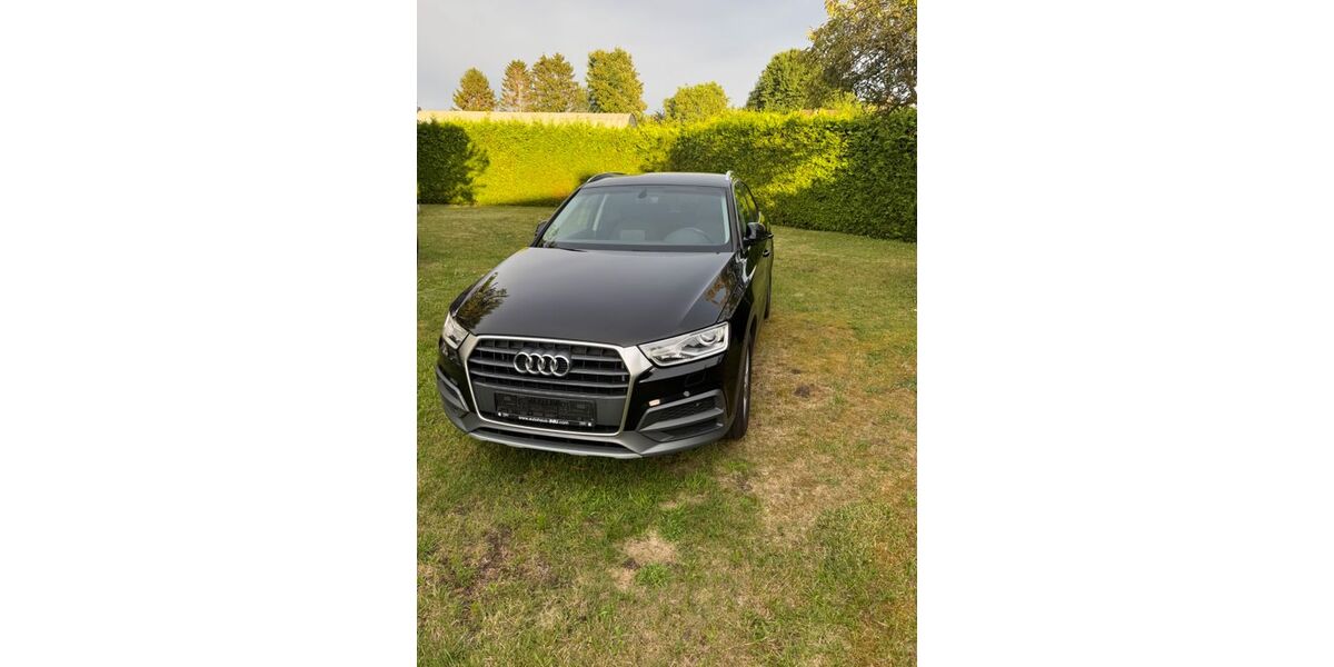 Audi Q3 122.595 km 16.000 &euro; Barth 18356
