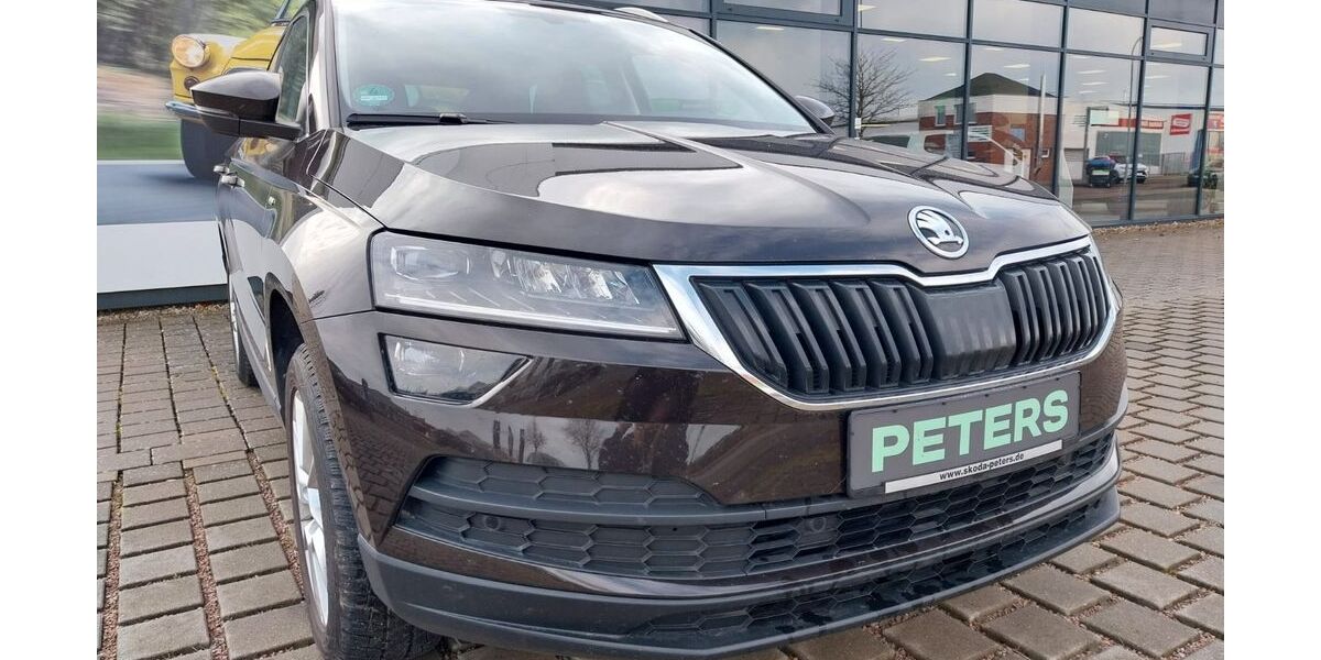 Skoda Karoq 35.000 km 23.770 &euro; Barth 18356