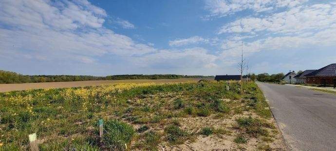 Grundstück Velgast - 66.690&euro; | Angebot:25815232