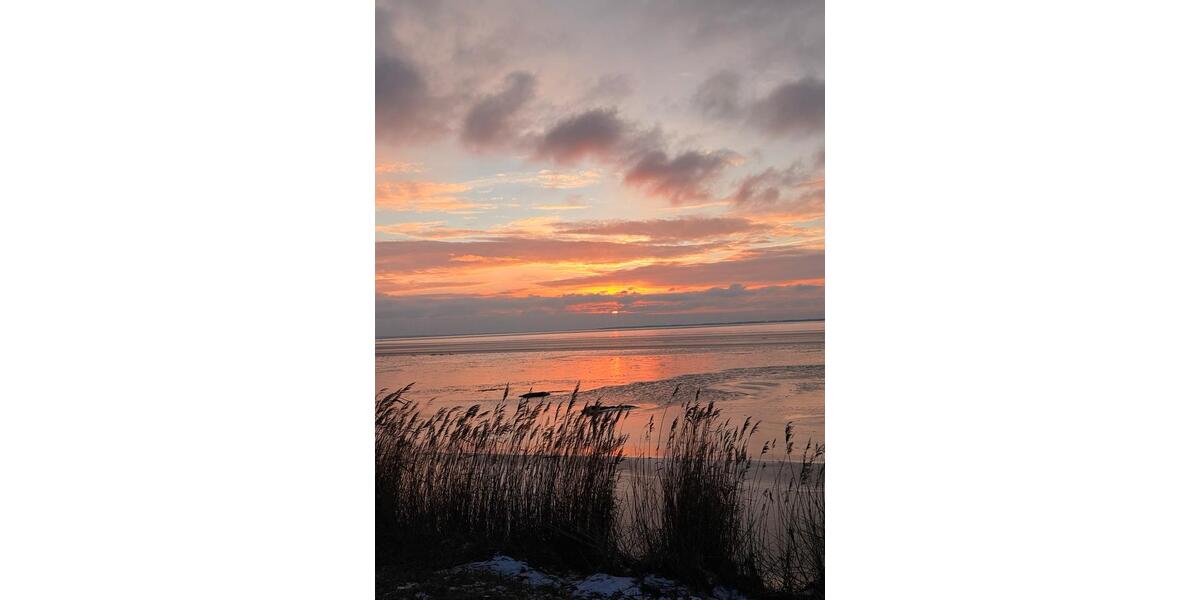 Doppelhaushälfte Gingst - 3 Zimmer, 85 m&sup2;, 1.200&euro; | Angebot:25882591