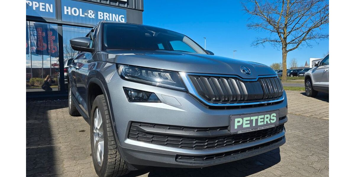Skoda Kodiaq 70.255 km 24.990 &euro; Barth 18356
