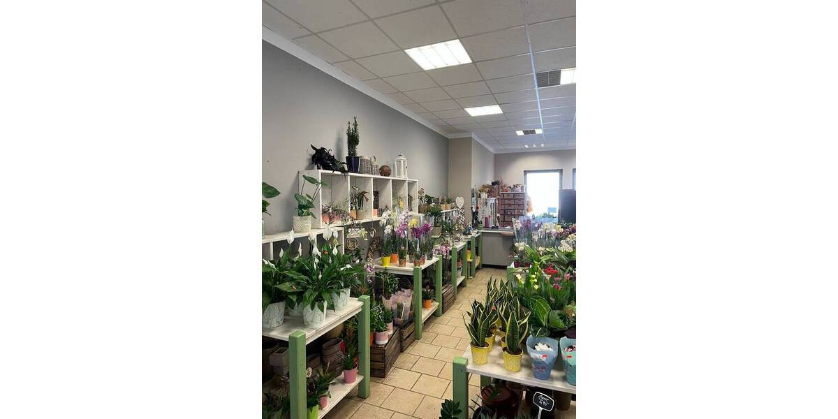 Gewerbeobjekt Stralsund Altstadt - 2 Zimmer, 1.290&euro; | Angebot:25733237